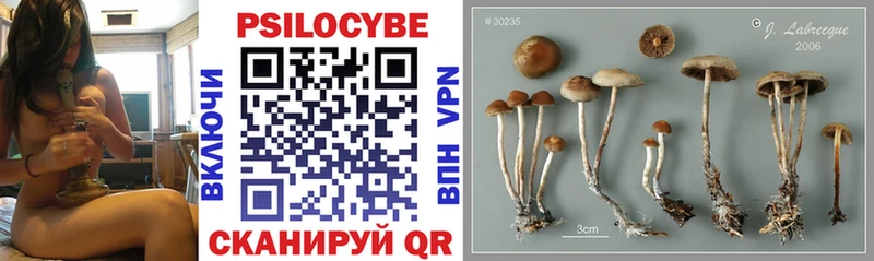 Галлюциногенные грибы MAGIC MUSHROOMS  кракен ONION  Бежецк  площадка наркотические препараты  купить наркоту 